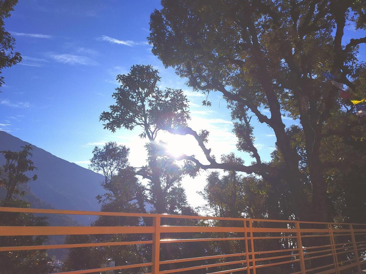 达兰萨拉 The Unmad, Dharamkot酒店 外观 照片